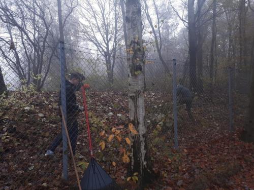 42b4c372-4c9d-407c-9211-9f56e99c3c8f