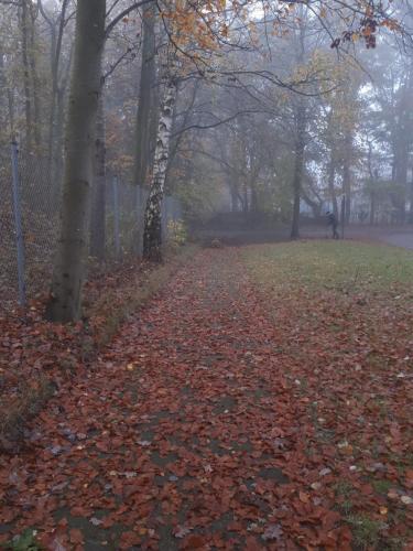 cdb1d6e6-3667-4891-b0e7-070c532288cb