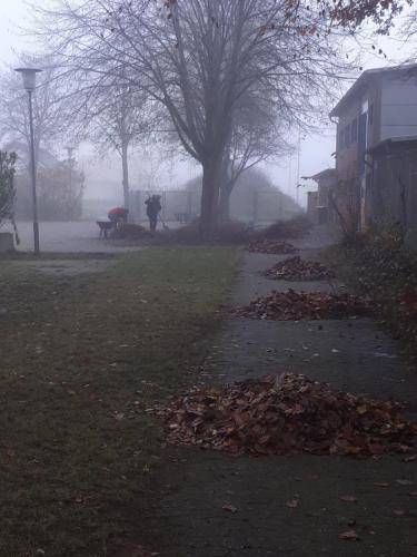 f0f75464-ecea-4e23-9531-df0c639a0e48